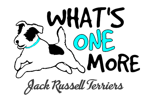 Logo for What's One More Jack Russell Terriers 